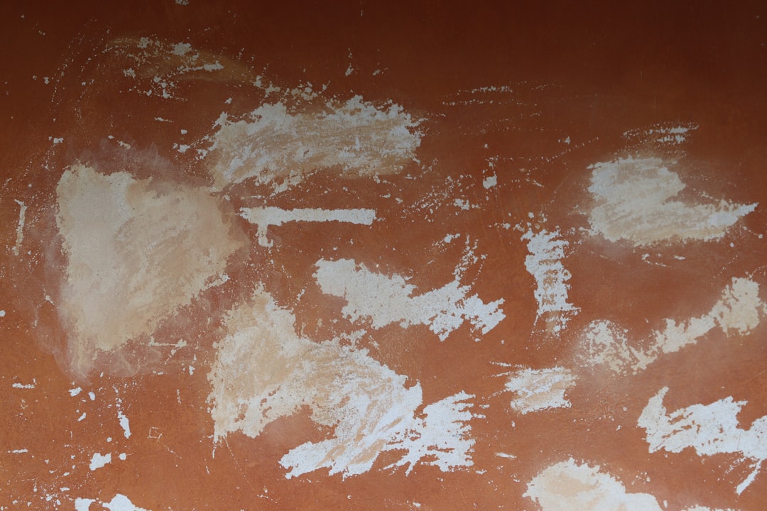 Килими та алергії: що потрібно знати?